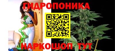 спиды Партизанск