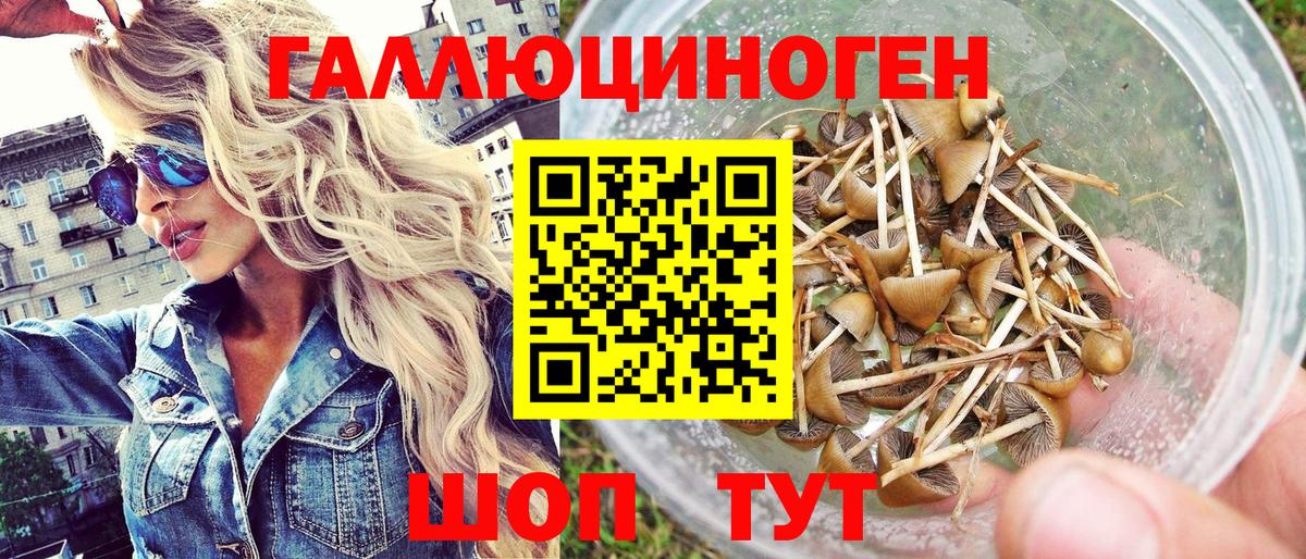 Рязань  купить наркотики сайты  Вход с VPN  Галлюциногенные грибы GOLDEN TEACHER 